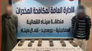 ضبط شحنة مخدرات تضم حشيش وهيروين في الإسماعيلية