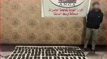 ضبط عنصر إجرامي بحوزته 15 كجم حشيش في المنوفية
