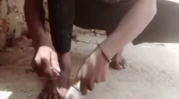 أمن الأقصر يلقي القبض على شاب نحر قطة في بث مباشر