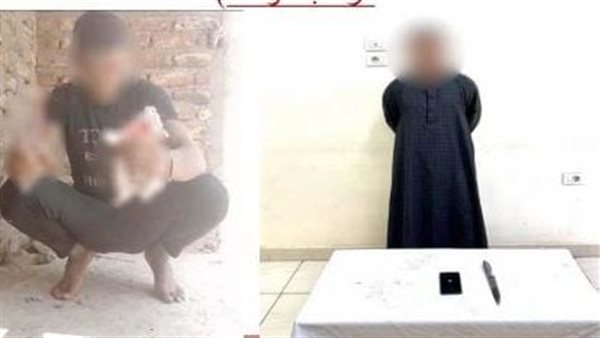 جنون المشاهدات.. الداخلية تضبط بطل فيديو التعدي على قطة بسلاح أبيض
