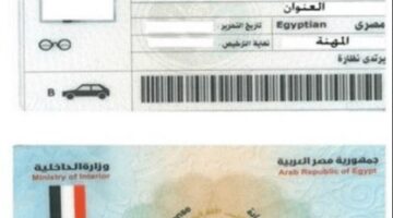 أولاين.. أسهل طريقة للاستعلام عن مخالفات المرور برقم السيارة