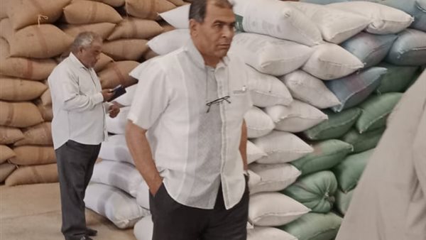 توريد 111 ألفًا طن من القمح لشون وصوامع المنيا