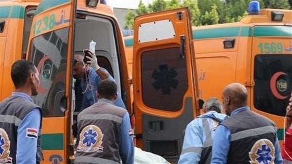 سيدة بالمنيا تستغيث: بعت دهبي وعملت قروضًا علشان أعالج جوزي.. اتدهس من طفل وفقد الذاكرة