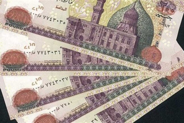 طريقة التسجيل في منحة العمالة غير المنتظمة 2025.. بالخطوات