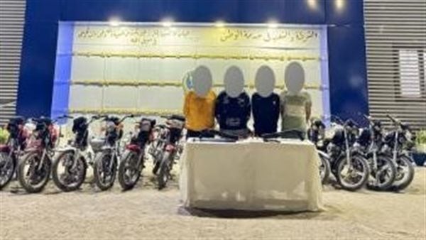 القبض على 9 عناصر إجرامية في الوادي الجديد والدقهلية