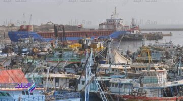 لاستقرار الأحوال الجوية .. استئناف حركة الصيد في كفر الشيخ