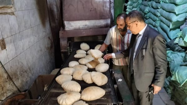 ضبط 5 طن دقيق ومصنعات لحوم بالدقهلية