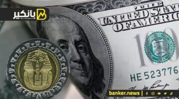 2025 عام الجنيه.. 5 عوامل تنهي أزمة الدولار في مصر (فيديو)