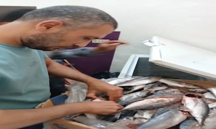 ضبط 14 طن لحوم ودواجن فاسدة في حملات بالمنوفية