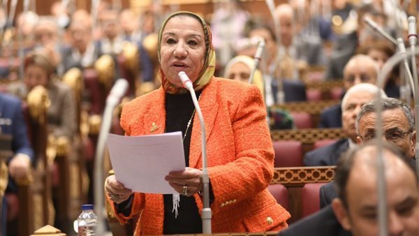 برلمانية: “قانون العمل الجديد” خطوة تاريخية نحو حماية الحقوق وتعزيز بيئة العمل