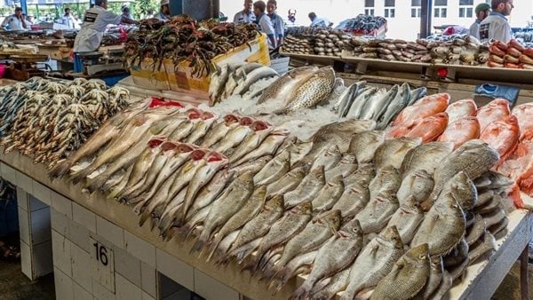 ارتفاع سعر البلطي لـ100 جنيه.. أسعار الأسماك اليوم السبت في سوق العبور