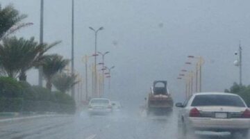 أمطار غزيرة تضرب القليوبية.. والمحافظة ترفع حالة الطوارئ للتعامل مع تجمعات المياه
