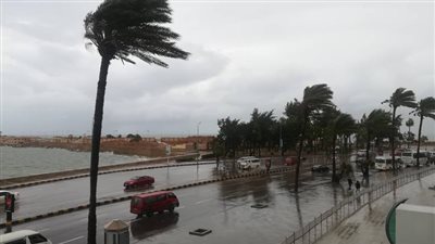 سقوط أمطار.. بيان عاجل من الأرصاد بشأن طقس الأحد 4 مايو 2025