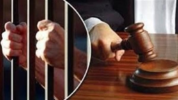 لـ 1 يونيو.. تأجيل محاكمة متهم في قضية داعش بولاق