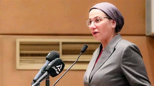 وزيرة البيئة توجه باتخاذ الإجراءات العاجلة لاحتواء تلوث بترولي قرب أبورديس