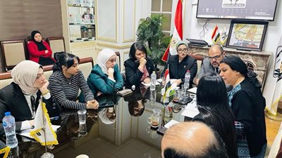 التنسيقية في أسبوع..مناقشة "أزمة مسكن الحضانة بين الأحكام القضائية والواقع الاجتماعي".. وانطلاق سادس جولات برنامج "بناء قدرات شباب الأحزاب" بتدريب أعضاء "مصر أكتوبر"