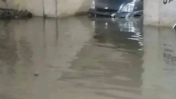 بسبب الأمطار الغزيرة…إنقاذ سيارة عالقة داخل نفق بالمنوفية |صور