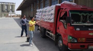 توريد 21 ألف و164 طن قمح للشون والصوامع بالقليوبية
