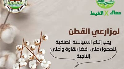 إطلاق حملة تقدم نصائح هامة لمزارعي القطن في بداية موسم الزراعة