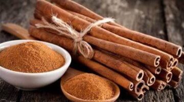 ما هي الأمراض التي تفيد القرفة في علاجها؟