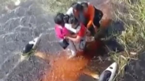 وسط التماسيح والأناكوندا.. نجاة 5 أشخاص بعد تحطم طائرتهم في غابات الأمازون