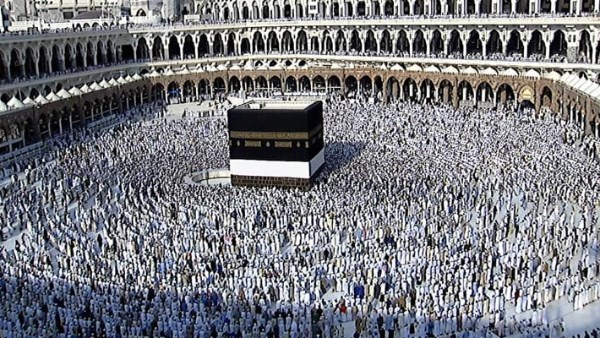 أخرّت الحج حتى وصلت إلى الشيخوخة ومعي المال.. فما الحل؟ أزهري يجيب