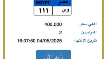 “وس – 111” .. لوحة سيارة مميزة يصل سعرها لـ 400 ألف جنيه