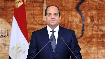 الرئيس السيسي: مصر لم تكن يومًا معبرًا للمهاجرين إلى أوروبا
