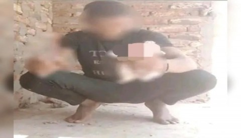 شاب يذبح قطة في بث مباشر.. والأمن يتحرك