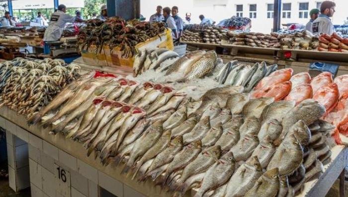 أسعار الأسماك والجمبري اليوم الأحد 4 مايو 2025 في سوق العبور
