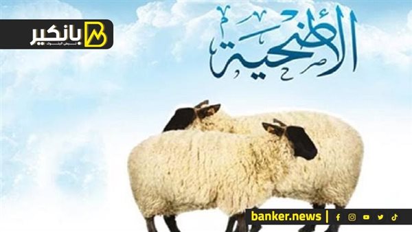 استعد للأضحية.. اعرف سعر الخروف والأضاحي بالأسواق