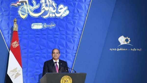 وكيلة القوى العاملة بالنواب تطالب بتنفيذ تكليفات السيسي فى خطاب "عيد العمال"