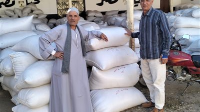 الإصلاح الزراعي يتابع حصاد القمح لدى المنتفعين وجهود إزالة التعديات على الأراضي