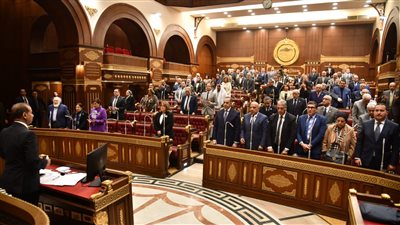 الشيوخ يحيل اقتراح النائبة كاميليا صبحي بشأن تأثير تطبيقات التكنولوجيا المقدمة على العملية التعليمية إلى الحكومة