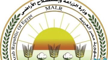 لرفع العبء عن المواطنين.. «الزراعة»: طرح بيض المائدة بسعر 115 جنيه للطبق