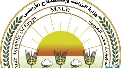 لرفع العبء عن المواطنين.. «الزراعة»: طرح بيض المائدة بسعر 115 جنيه للطبق