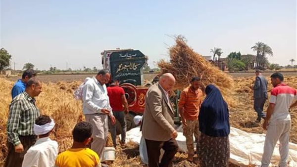 “الإصلاح الزراعي” يتابع حصاد القمح وجهود إزالة التعديات على الأراضي