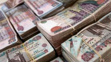 العالم السري لشركات توظيف الأموال إلكترونيا