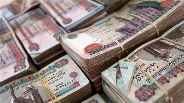العالم السري لشركات توظيف الأموال إلكترونيا العالم السري لشركات توظيف الأموال إلكترونيا