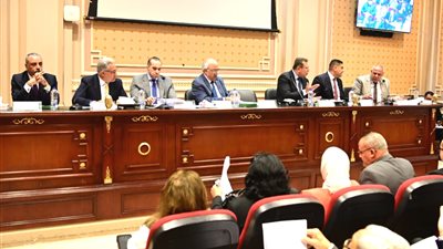 الوزير فوزي: المحكمة الدستورية أصدرت 39 حكما متعلقا بالإيجار القديم منهم 26 حكما بعدم الدستورية