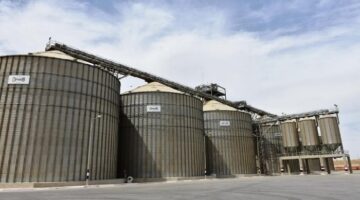 تموين أسوان: توريد 104 آلاف طن قمح خلال موسم الحصاد