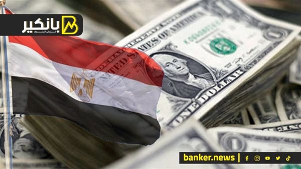 مصر عبرت مرحلة الأزمة.. شهادات دولية تؤكد نهاية أزمة الدولار