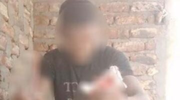 جرح قطة بسلاح أبيض.. المتهم يواجه الحبس 6 أشهر وغرامة طبقا للقانون