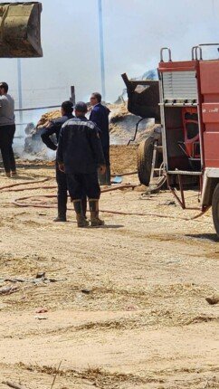 إنقاذ ٢٠٠٠ رأس ماشية من حريق بإحدى المزارع بمركز ومدينة أبو صوير