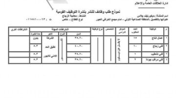مديرية العمل بالقليوبية توفر 945 فرصة عمل في 10 شركات بالقطاع الخاص