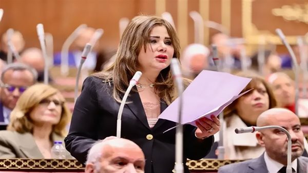 أمل رمزي “نائبة تواصل بالشيوخ”: تطالب بتشريع متكامل للأمن السيبراني