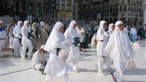 حكم حج الحامل والمرضع.. دار الإفتاء تجيب