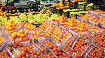 صناعة الحاصلات الزراعية في مصر.. فرص استثمارية بمليارات الدولارات