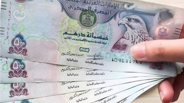 سعر الدرهم الإماراتي مقابل الجنيه اليوم الإثنين 5 مايو 2025 وفقا لآخر تحديث