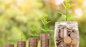 بعد خفض الفائدة.. أفضل حساب توفير بعائد مميز للسيدات الآن
